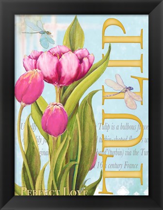 Framed Elegant Tulip II Print