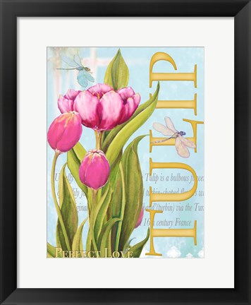 Framed Elegant Tulip II Print