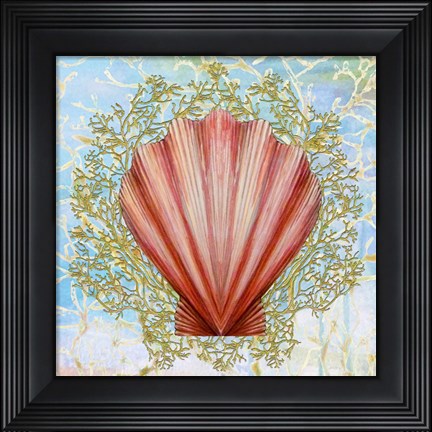 Framed Shell Medley I Print