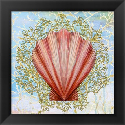 Framed Shell Medley I Print