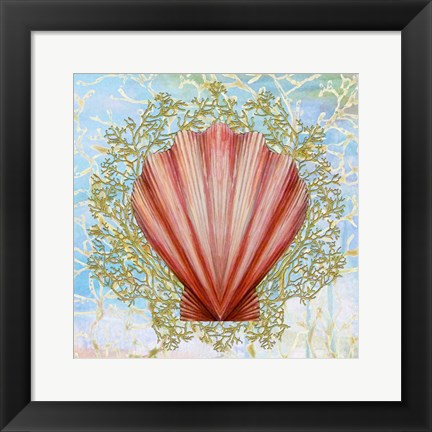 Framed Shell Medley I Print