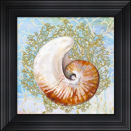 Framed Shell Medley III Print