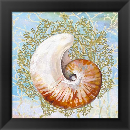 Framed Shell Medley III Print