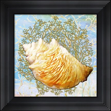 Framed Shell Medley IV Print