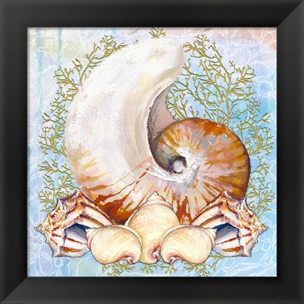 Framed Shell Medley V Print