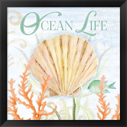 Framed Ocean Life Print