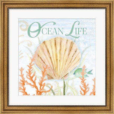 Framed Ocean Life Print