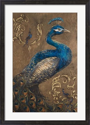 Framed Pershing Peacock I Print
