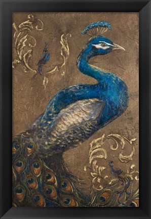 Framed Pershing Peacock I Print