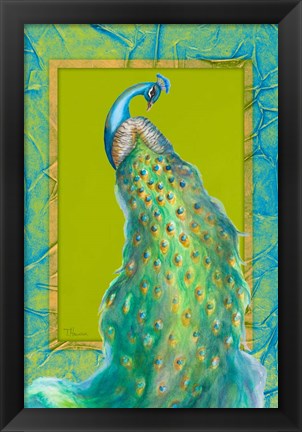 Framed Peacock Daze I Print