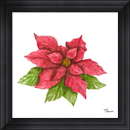 Framed Poinsettia I Print