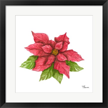 Framed Poinsettia I Print