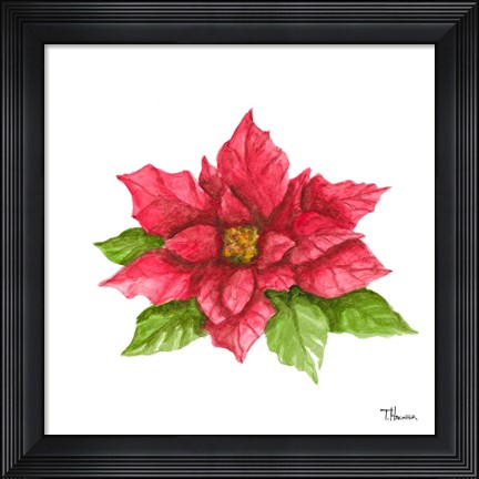 Framed Poinsettia II Print