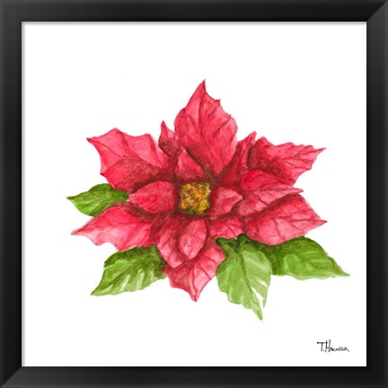 Framed Poinsettia II Print