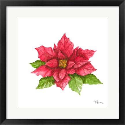 Framed Poinsettia II Print