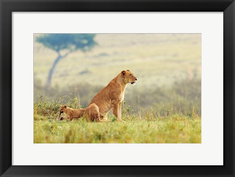 Framed Lion&#39;s Tail Print