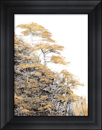 Framed Immortal Pine Print