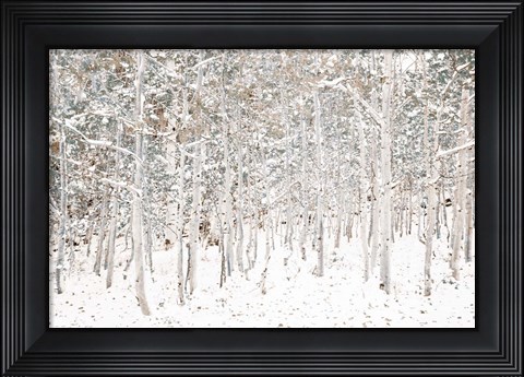 Framed White Snow Wonderland Print