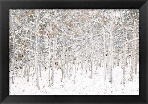 Framed White Snow Wonderland Print