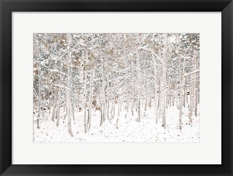 Framed White Snow Wonderland Print