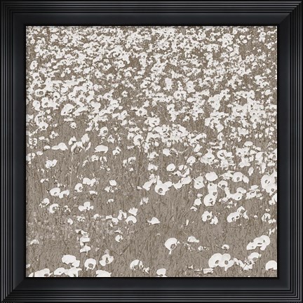 Framed Neutral Fields Print