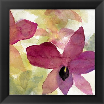 Framed Beautiful and Peace Orchid II Print