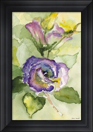 Framed Watercolor Lavender Floral II Print