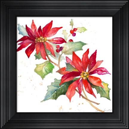 Framed Poinsettias I Print