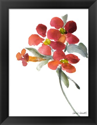 Framed Trumpet Vine Print