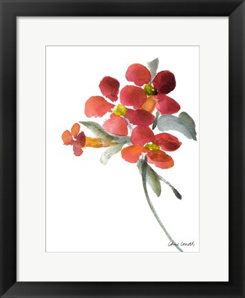 Framed Trumpet Vine Print