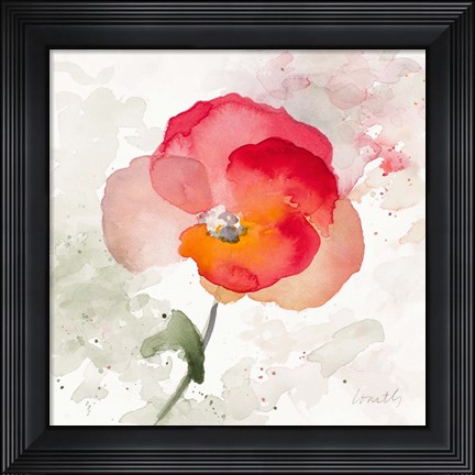 Framed Translucent Poppy I Print