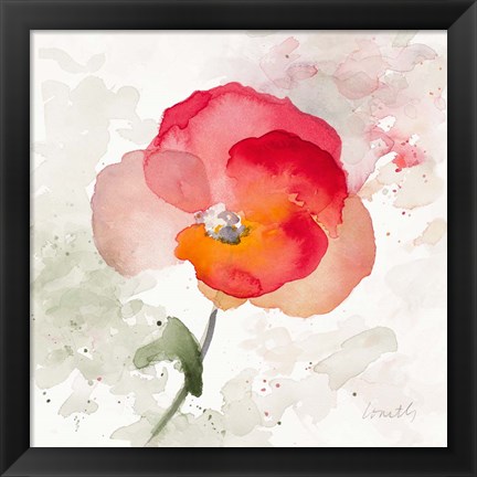 Framed Translucent Poppy I Print