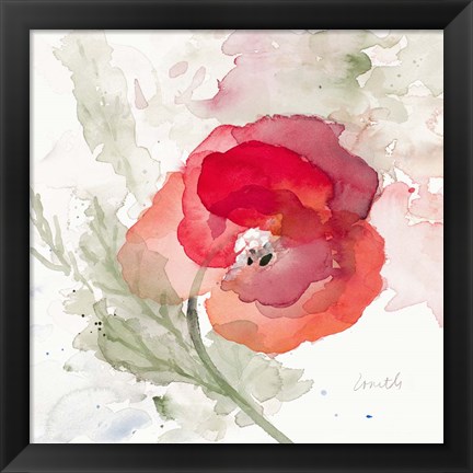 Framed Translucent Poppy II Print