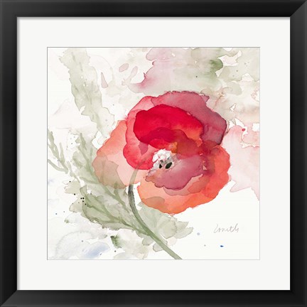 Framed Translucent Poppy II Print