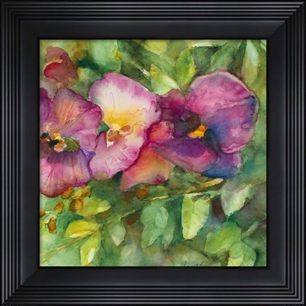 Framed Orchid Garden Print