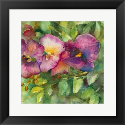 Framed Orchid Garden Print