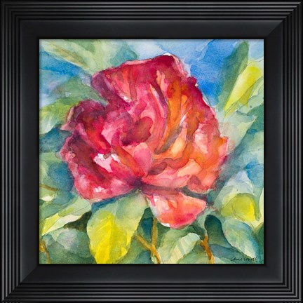 Framed Crimson Peony Print