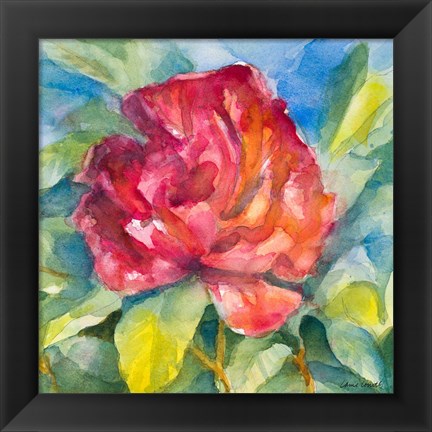 Framed Crimson Peony Print