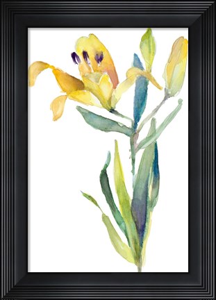 Framed Yellow Lily Print