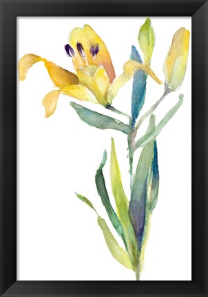 Framed Yellow Lily Print