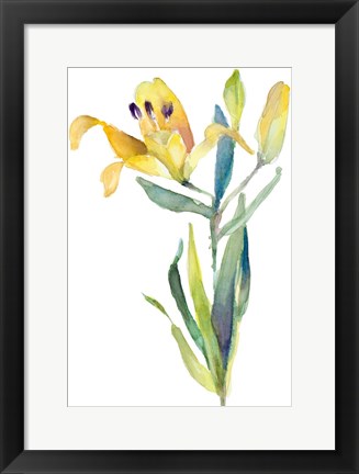 Framed Yellow Lily Print