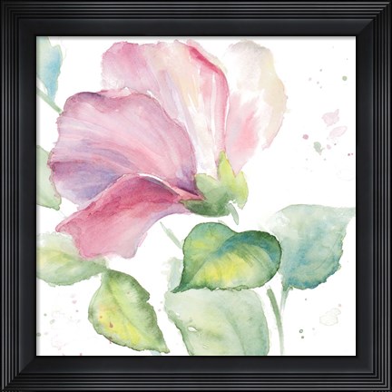 Framed Fragrant Hibiscus I Print