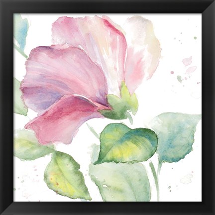 Framed Fragrant Hibiscus I Print