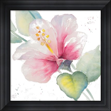 Framed Fragrant Hibiscus II Print