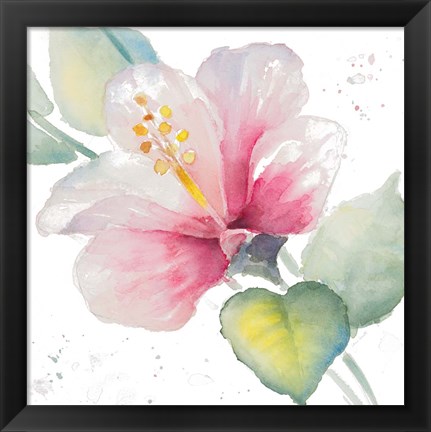 Framed Fragrant Hibiscus II Print