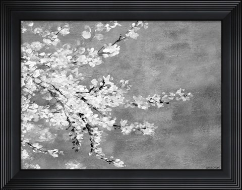 Framed Sakura Silver Print