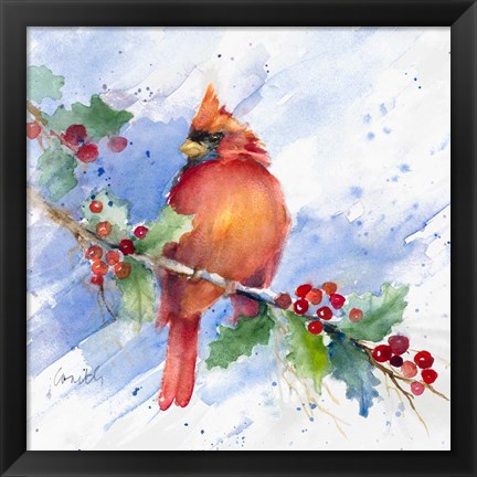 Framed Cardinal on Holly Branch Print