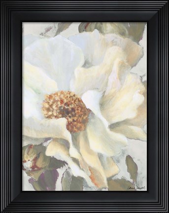 Framed White Peony and Buds Print