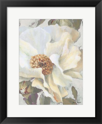 Framed White Peony and Buds Print