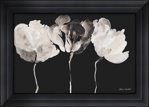 Framed Trio in Light on Black Print